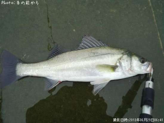 �����Х�