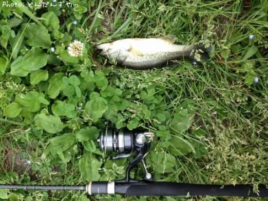 �֥�å��Х�