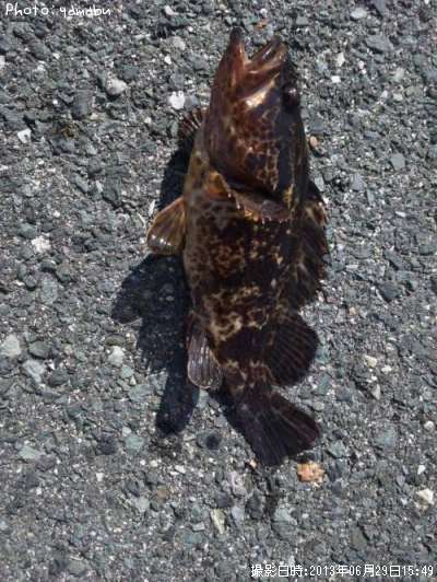 �����Υ���Х�