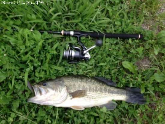 �֥�å��Х�