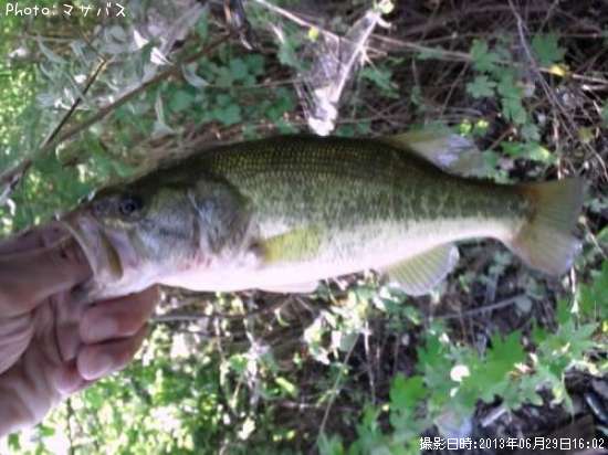 �֥�å��Х�