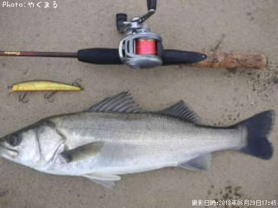 �����Х�