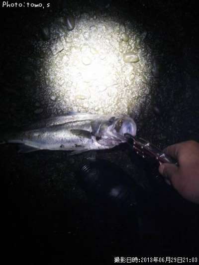 �����Х�