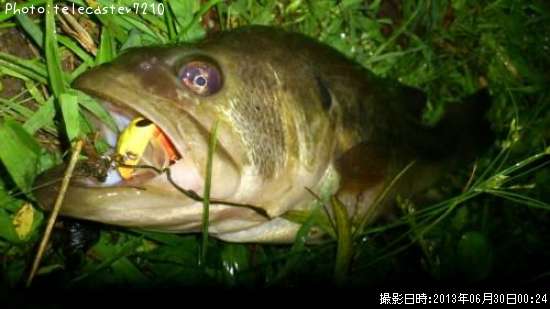 �֥�å��Х�