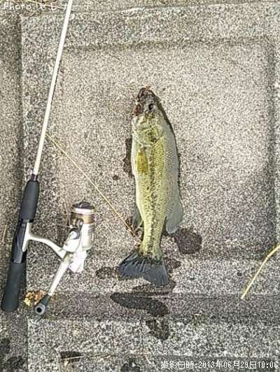 �֥�å��Х�