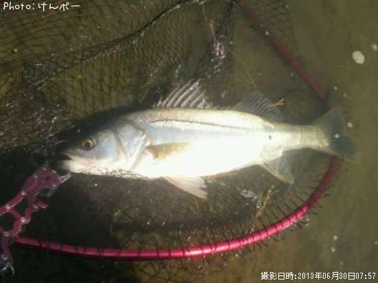 �����Х�