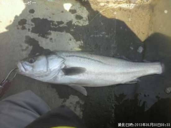 �����Х�