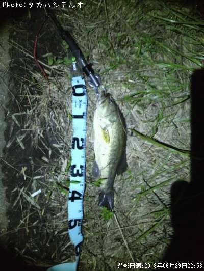 �濩���Х�