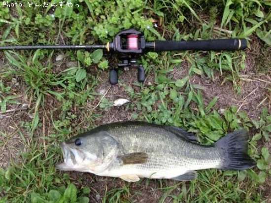 �֥�å��Х�