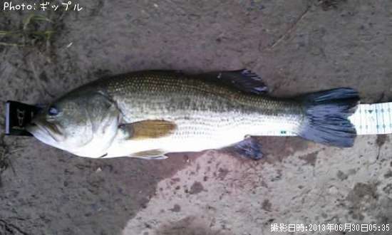 �֥�å��Х�