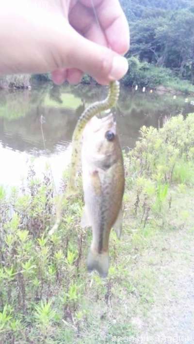 �֥�å��Х�