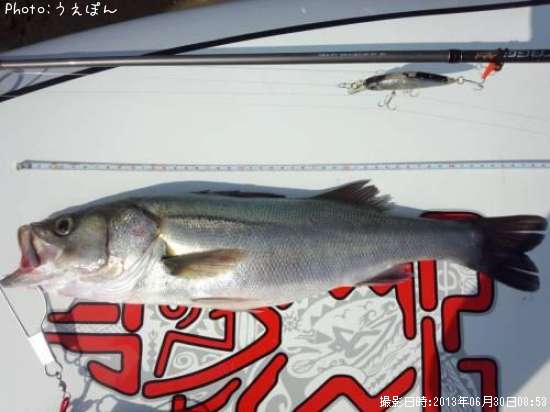 �����Х�