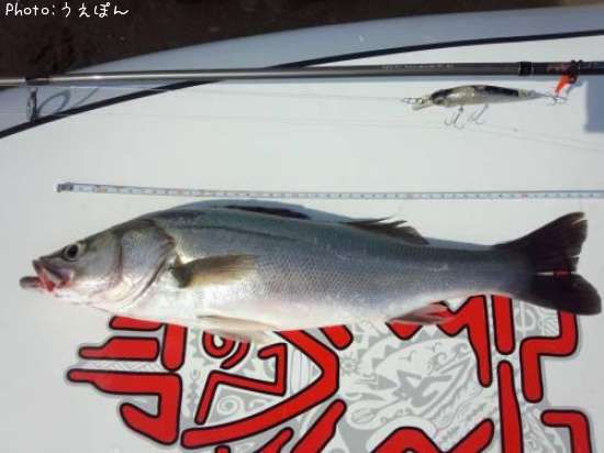 �����Х�