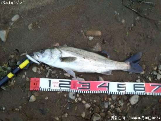 �����Х�