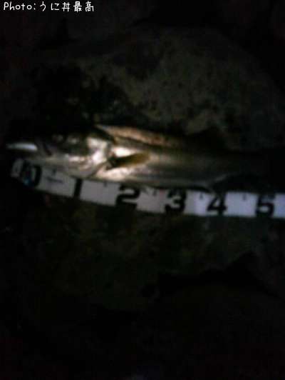 �����Х�