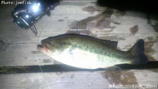 �֥�å��Х�