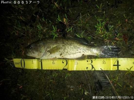 �֥�å��Х�