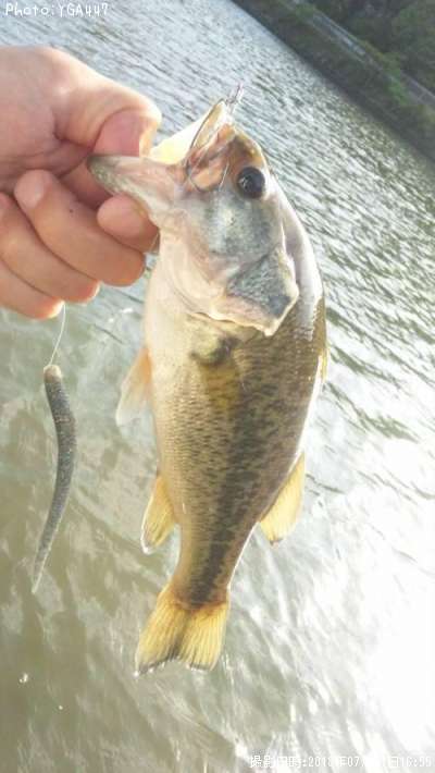 �֥�å��Х�