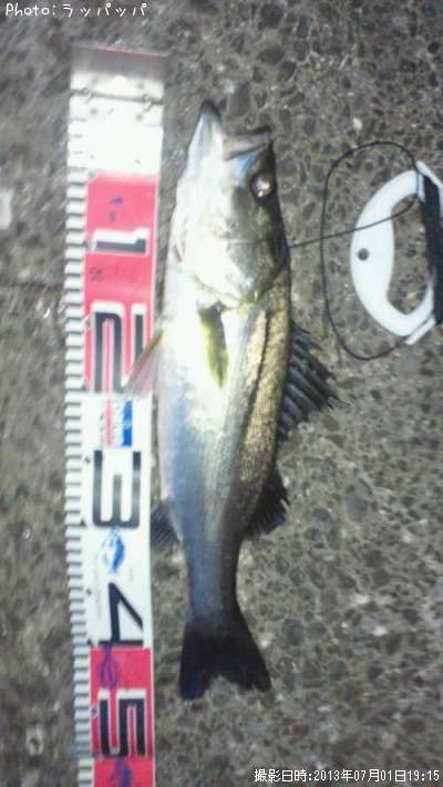 �����Х�