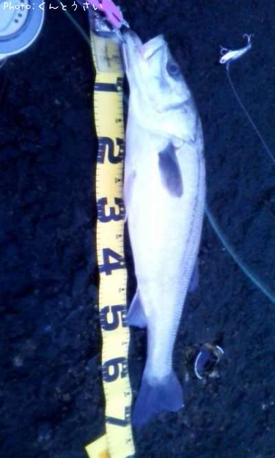 �����Х�