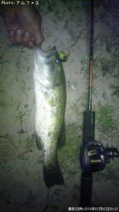 �֥�å��Х�