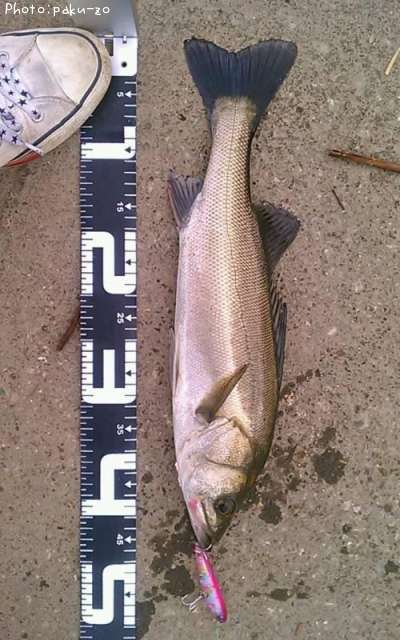 �����Х�