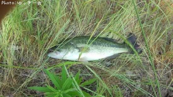 �֥�å��Х�