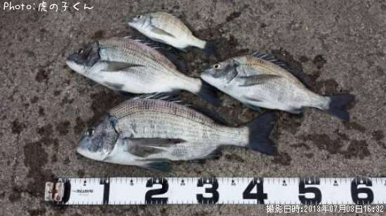 ����������������