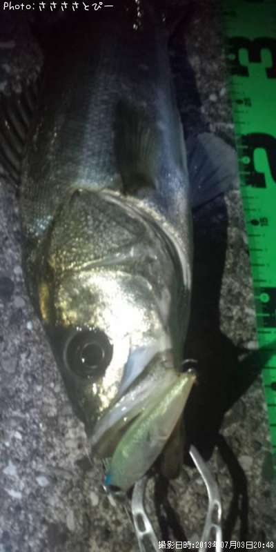 �����Х�