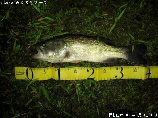 �֥�å��Х�