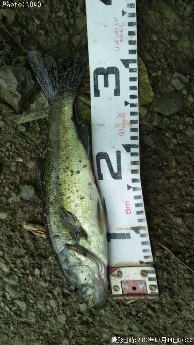 �֥�å��Х�