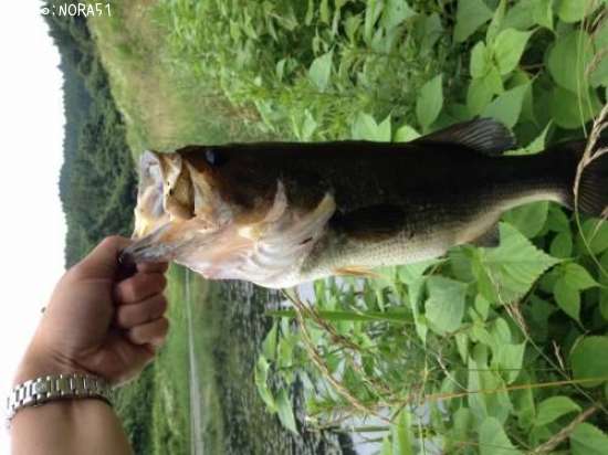 �֥�å��Х�