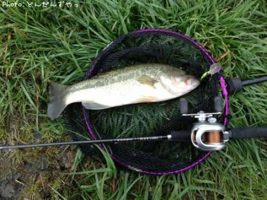 �֥�å��Х�