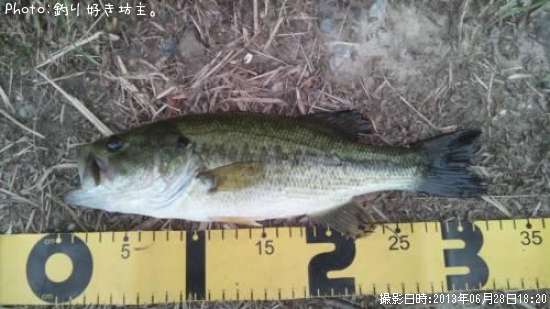 �֥�å��Х�