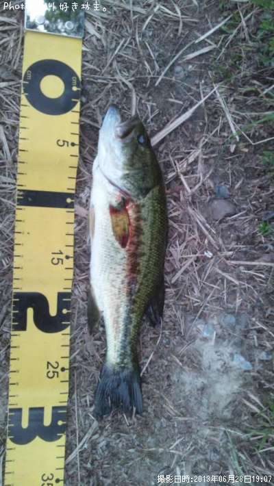 �֥�å��Х�