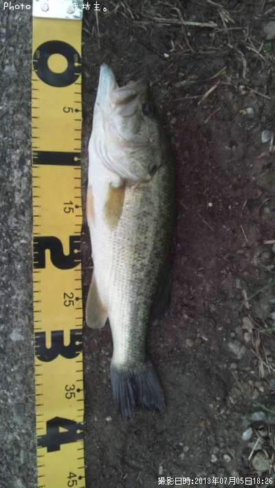 �֥�å��Х�