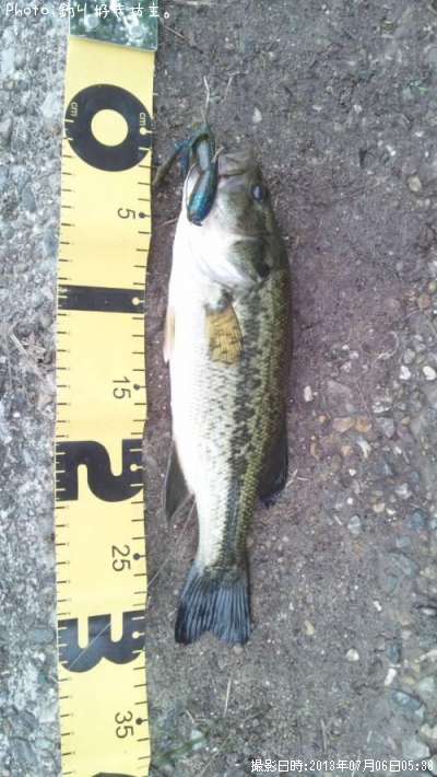 �֥�å��Х�