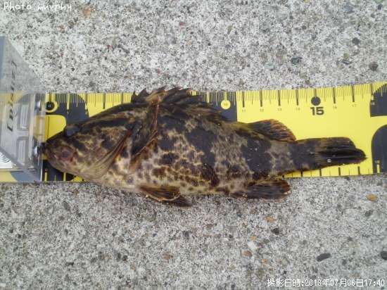 �����Υ���Х�