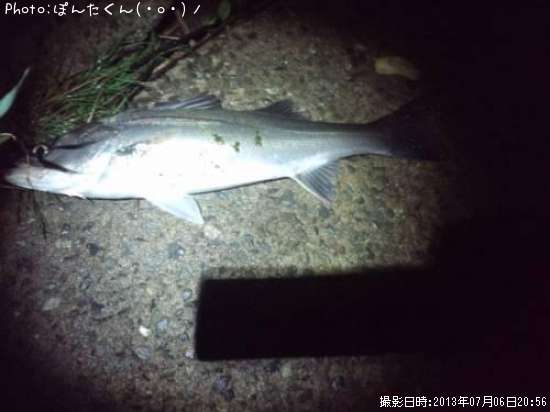 �����Х�