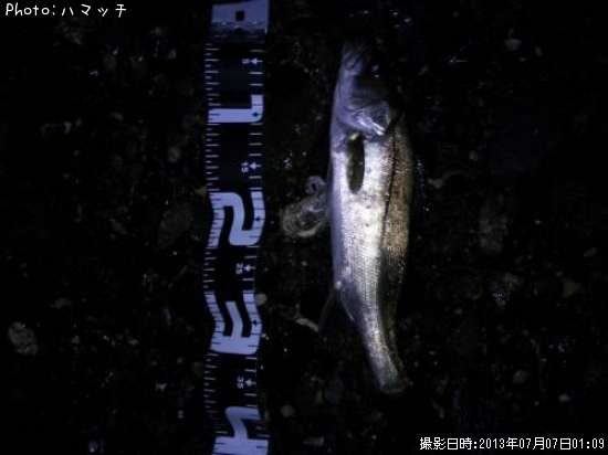 �����Х�