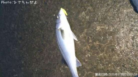 �����Х�