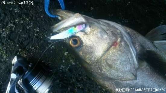 �����Х�