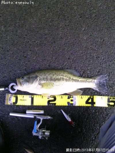 �֥�å��Х�