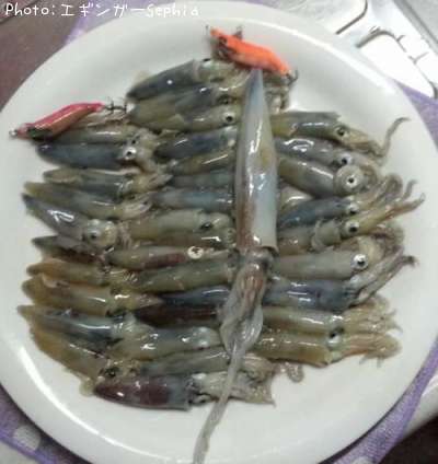 �ҥ�������ꥤ��