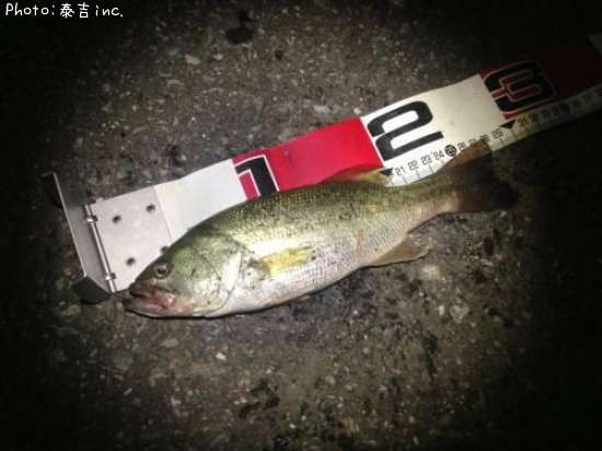 �֥�å��Х�