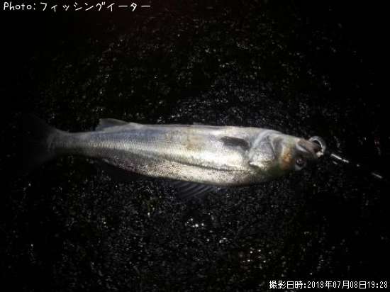 �����Х�