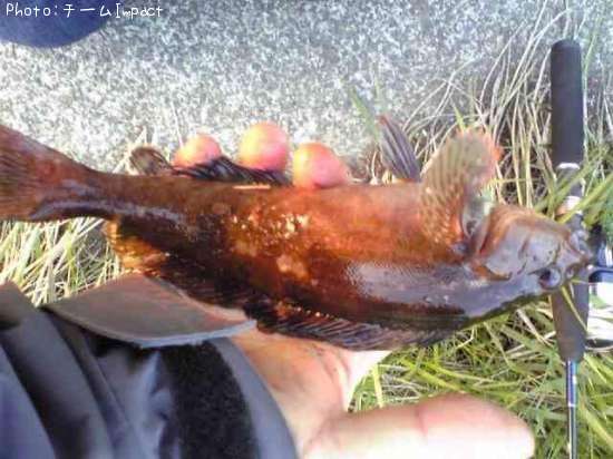 �����ʥ�