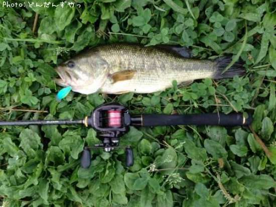 �֥�å��Х�