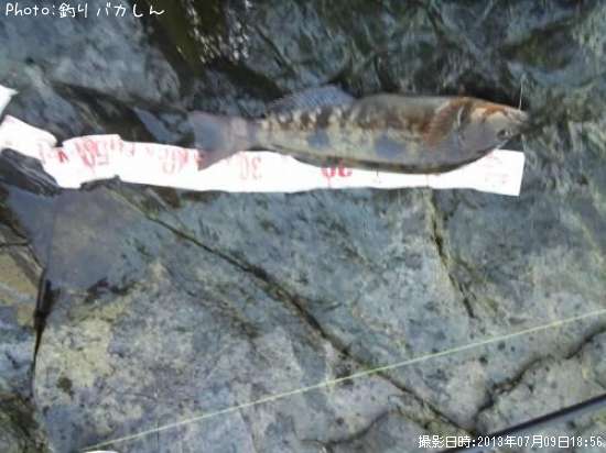 �����ʥ�