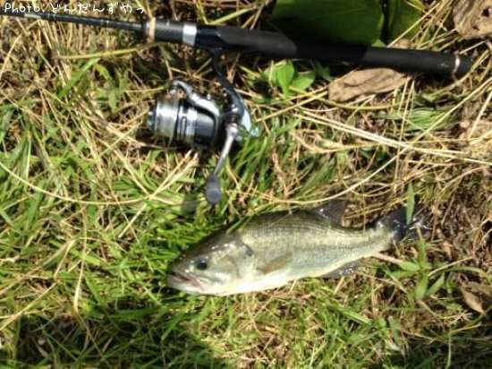 �֥�å��Х�